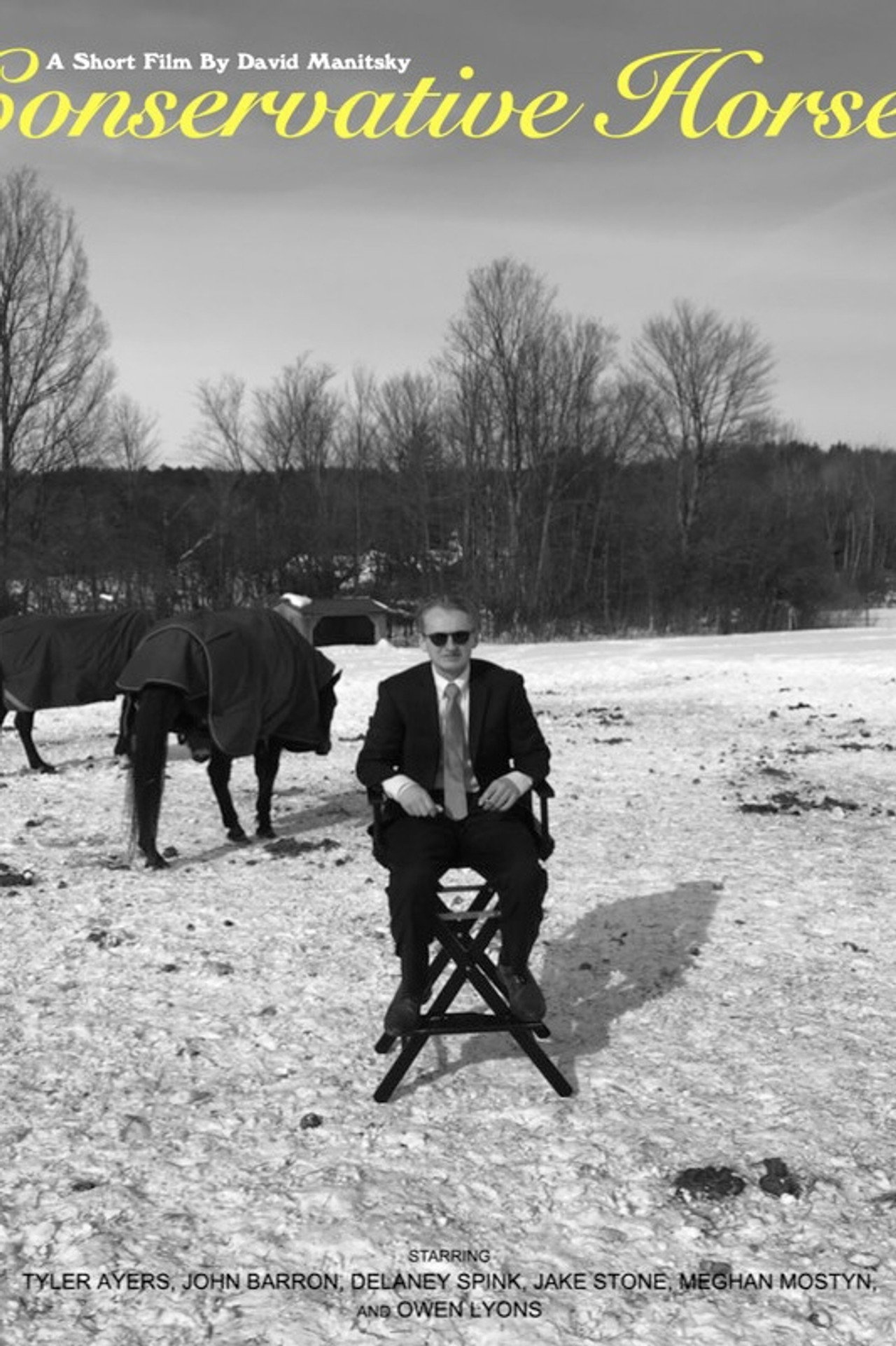 Conservative Horses filmaffisch