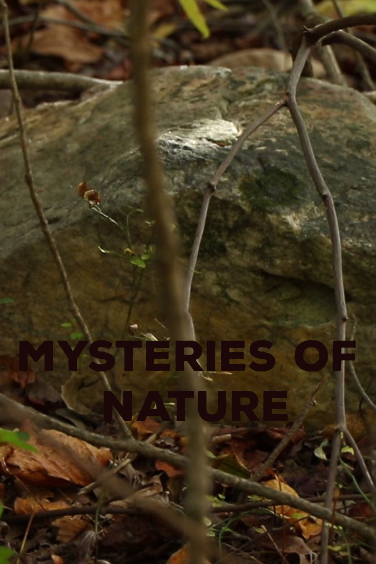 Mysteries of Nature filmaffisch