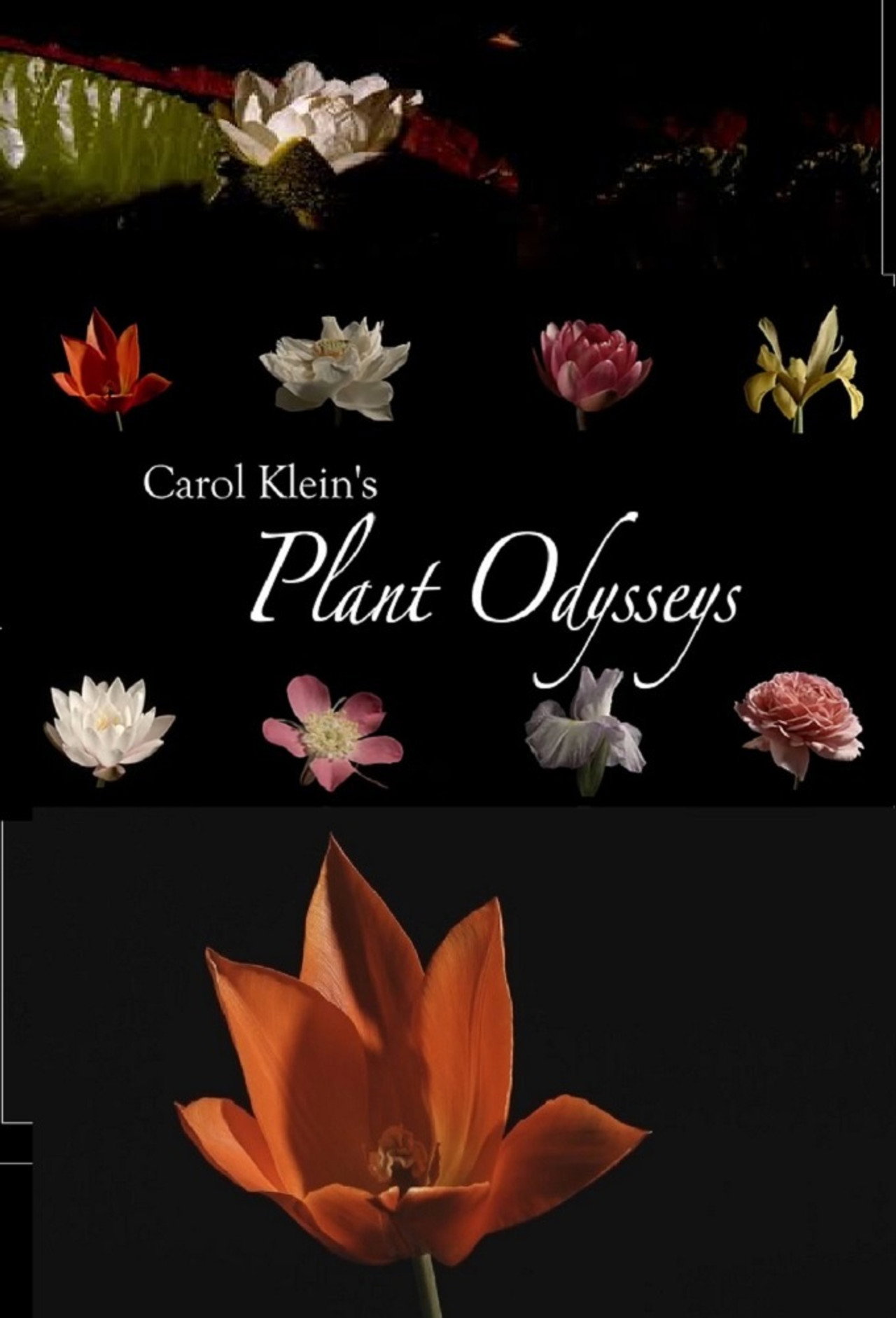 Carol Klein's Plant Odysseys affisch