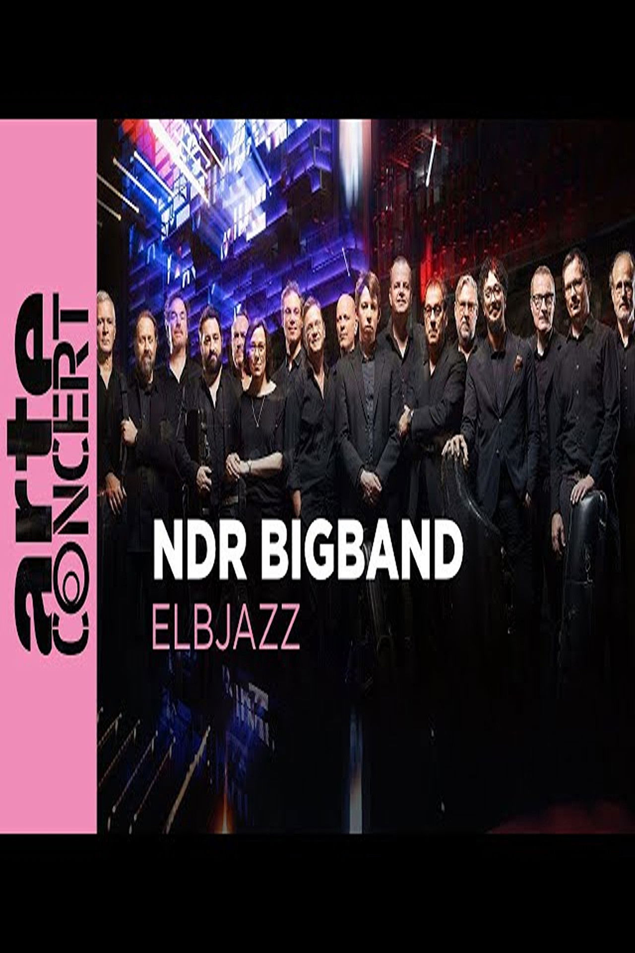 NDR Bigband feat. Lenine & Martin Fondse: The Bridge Elbjazz Festival 2024 Backdrop
