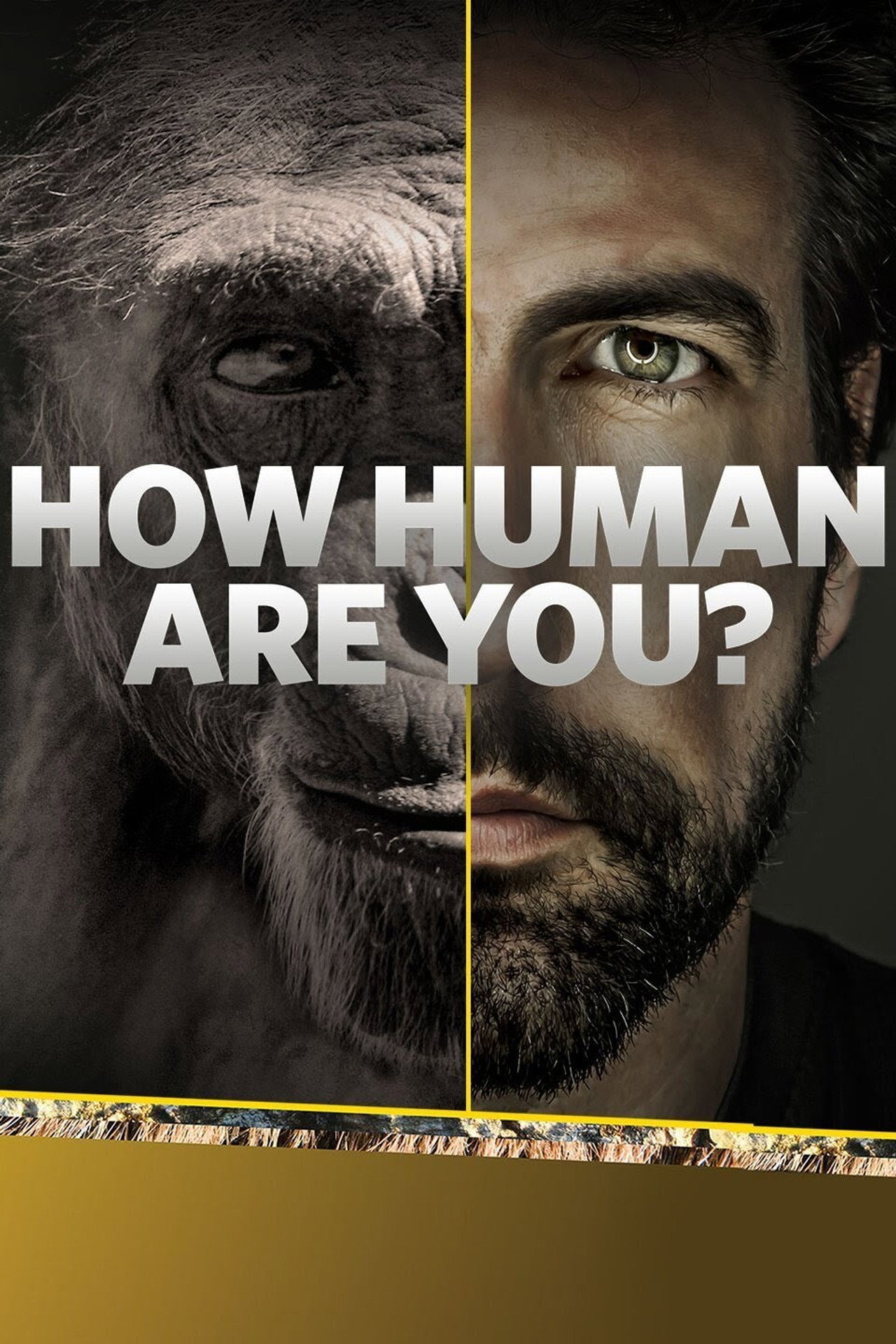How Human Are You? affisch