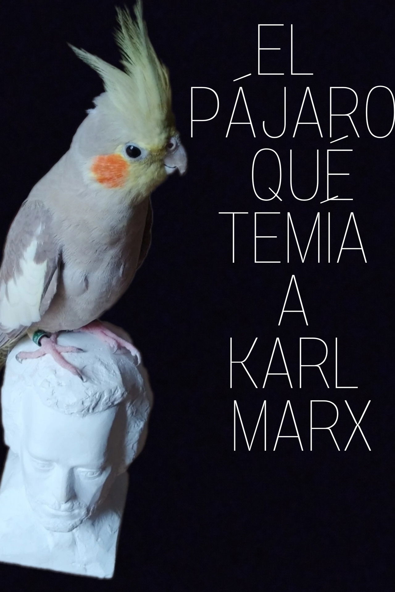 El pájaro que temía a Karl Marx Backdrop