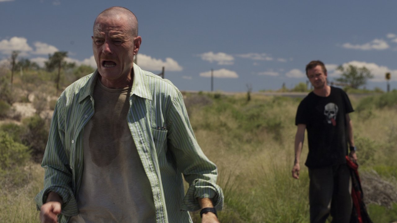 Breaking Bad - Season 2 Episode 3 : Bit by a Dead Bee