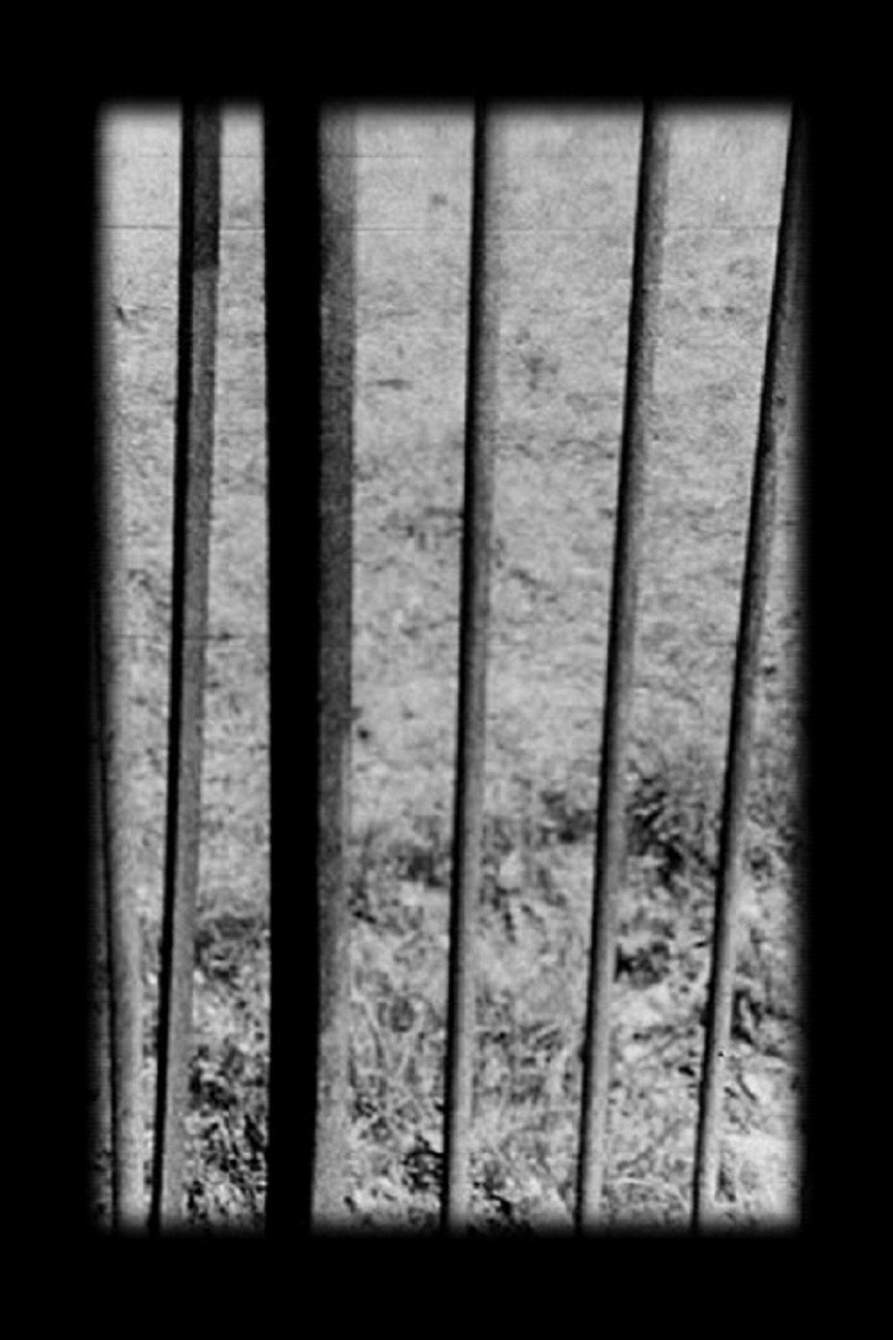 Railings