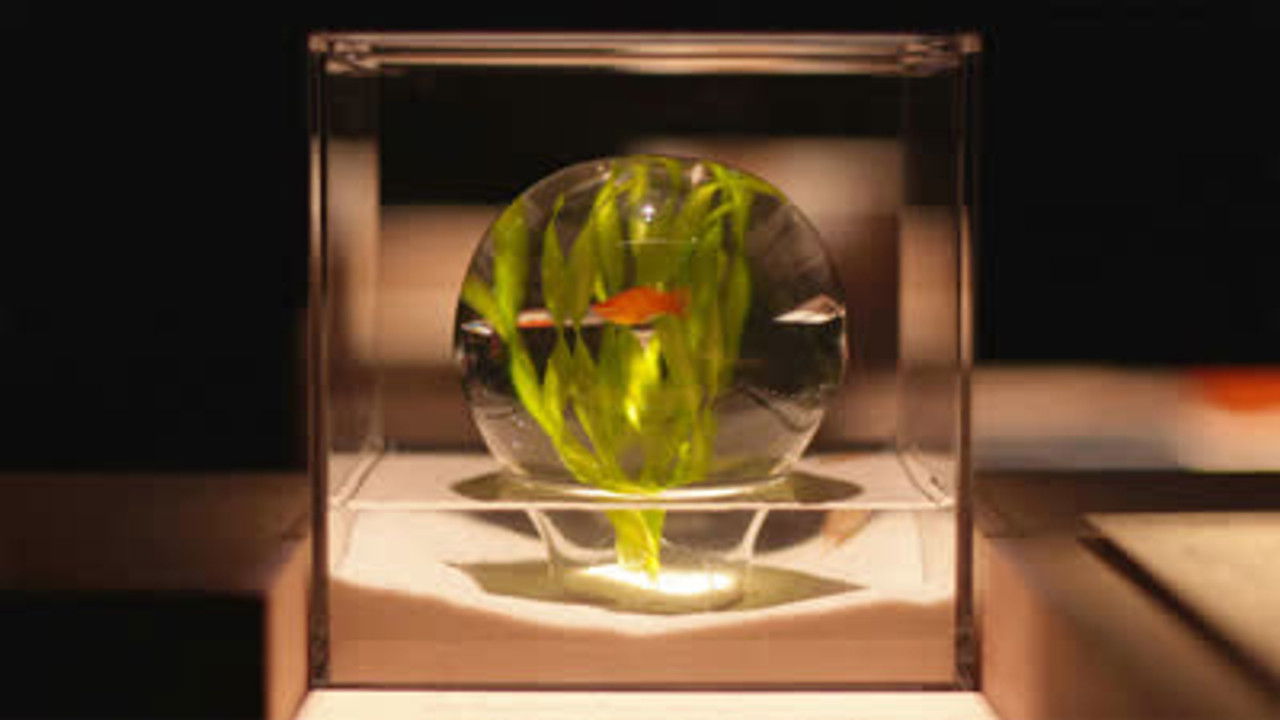 DESIGN TALKS plus — Épisode 2