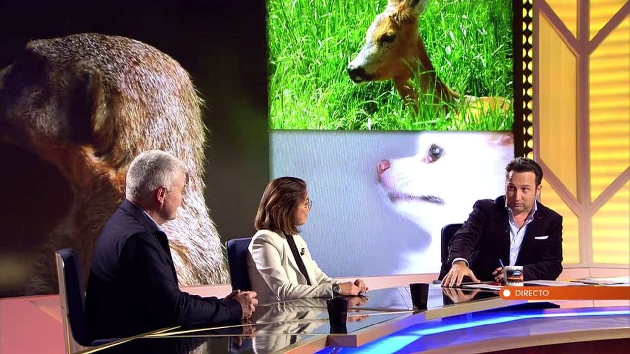 Horizonte — Épisode 13