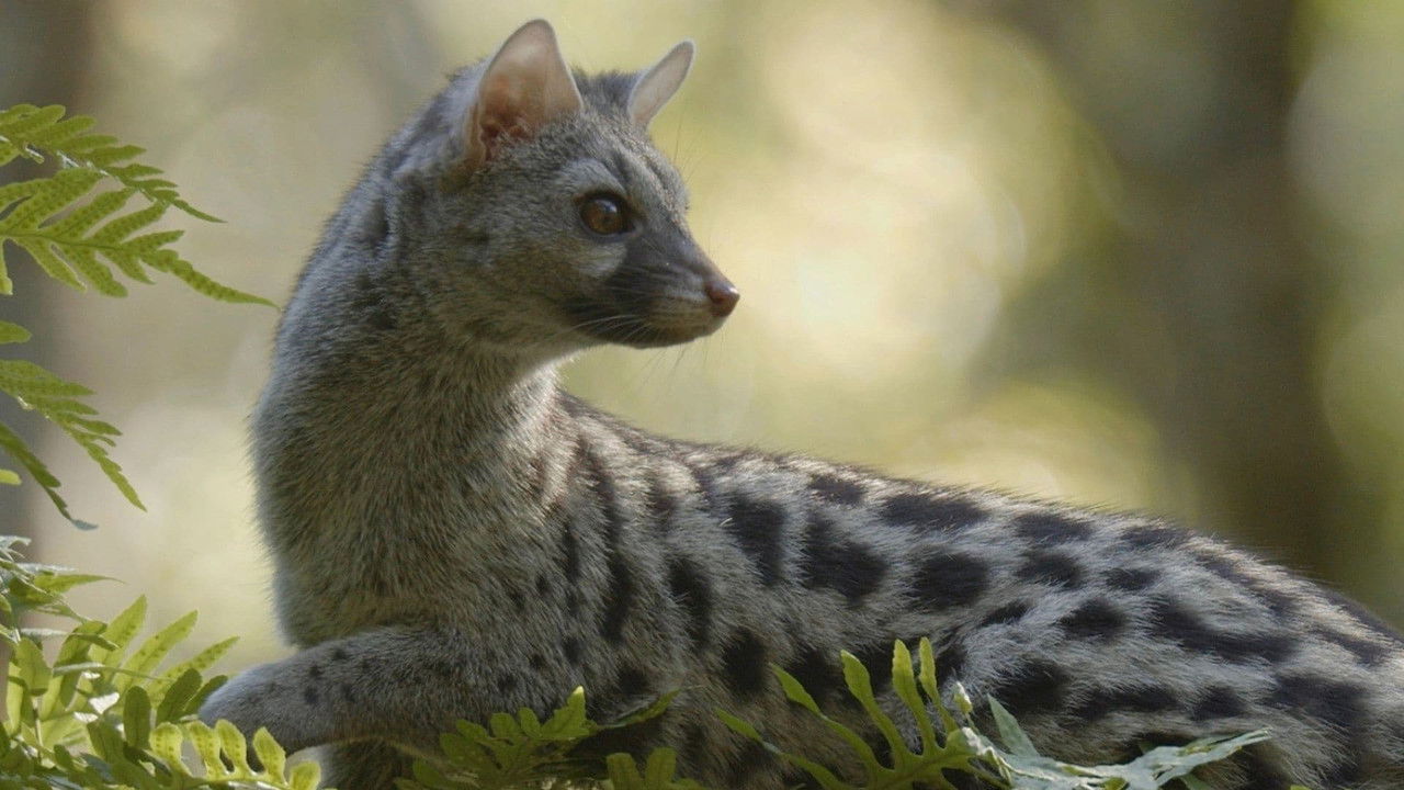 Hidden Wonders of Europe — Épisode 2