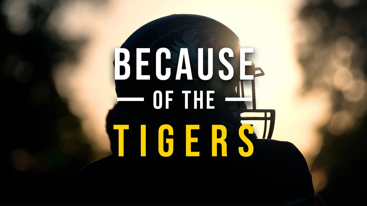 Because of the Tigers