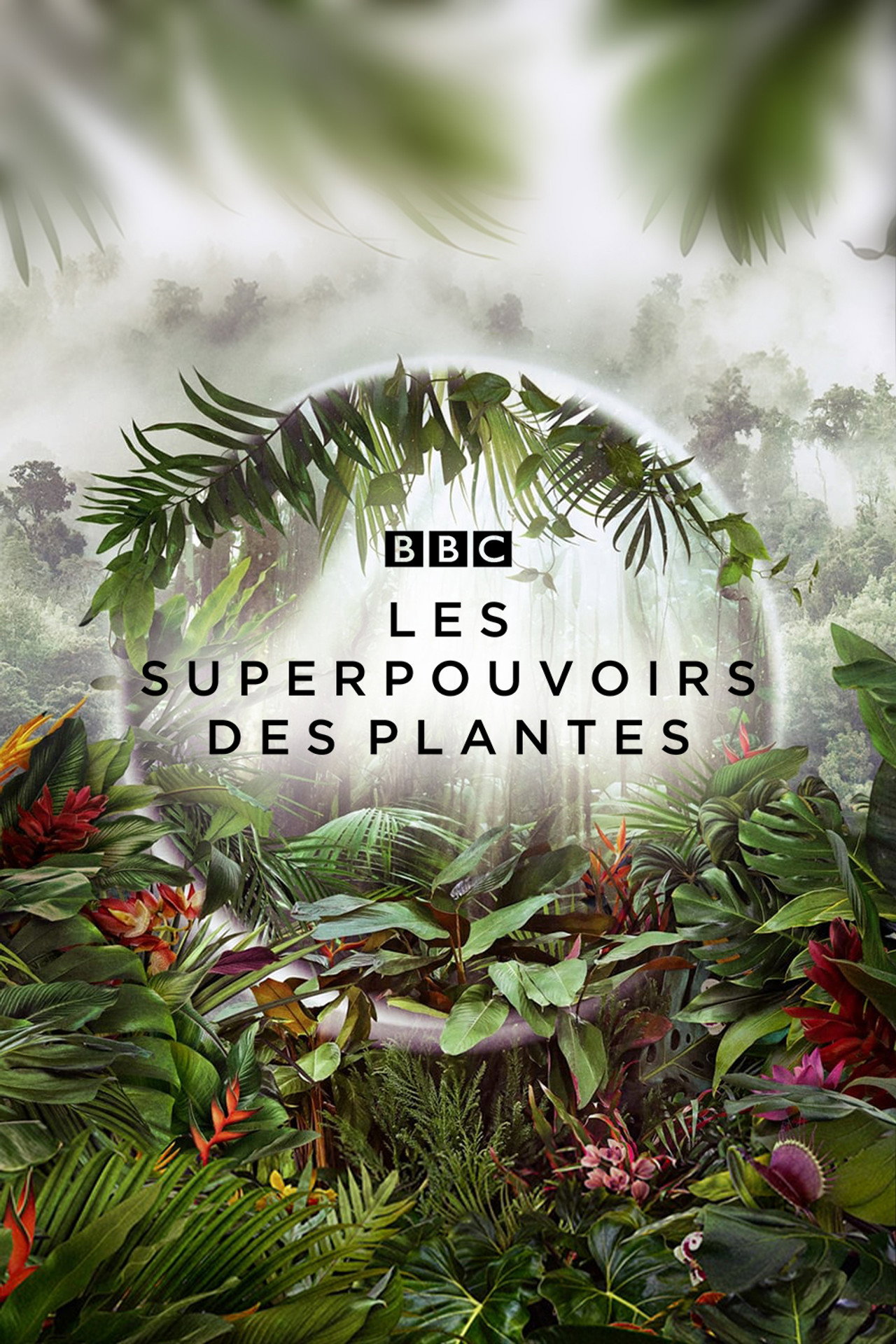 Les superpouvoirs des plantes poster