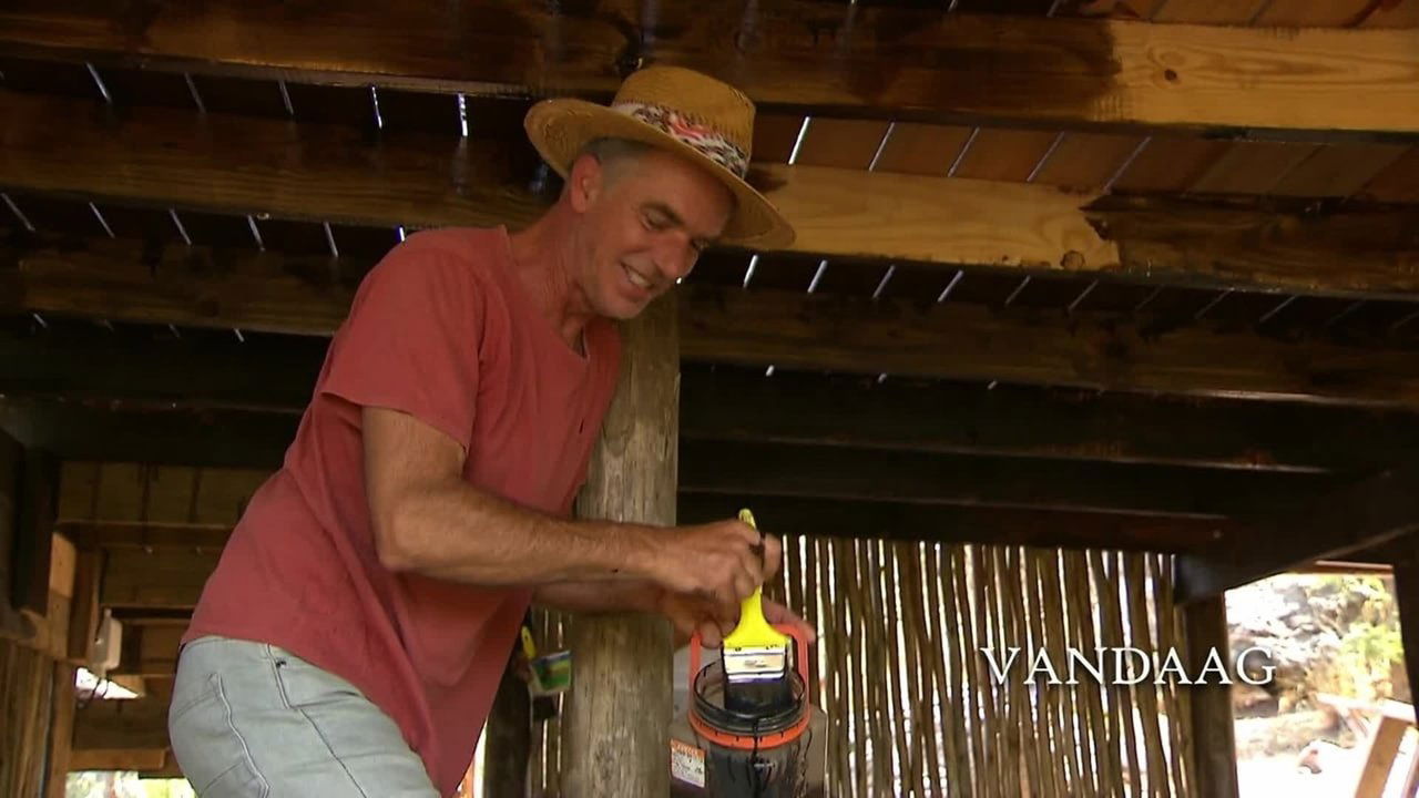 B&B Vol Liefde - Season 4 Episode 20 : Episode 20