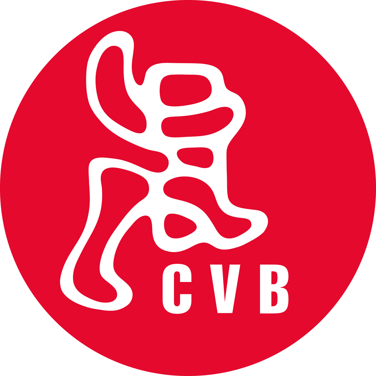 Centre Vidéo de Bruxelles