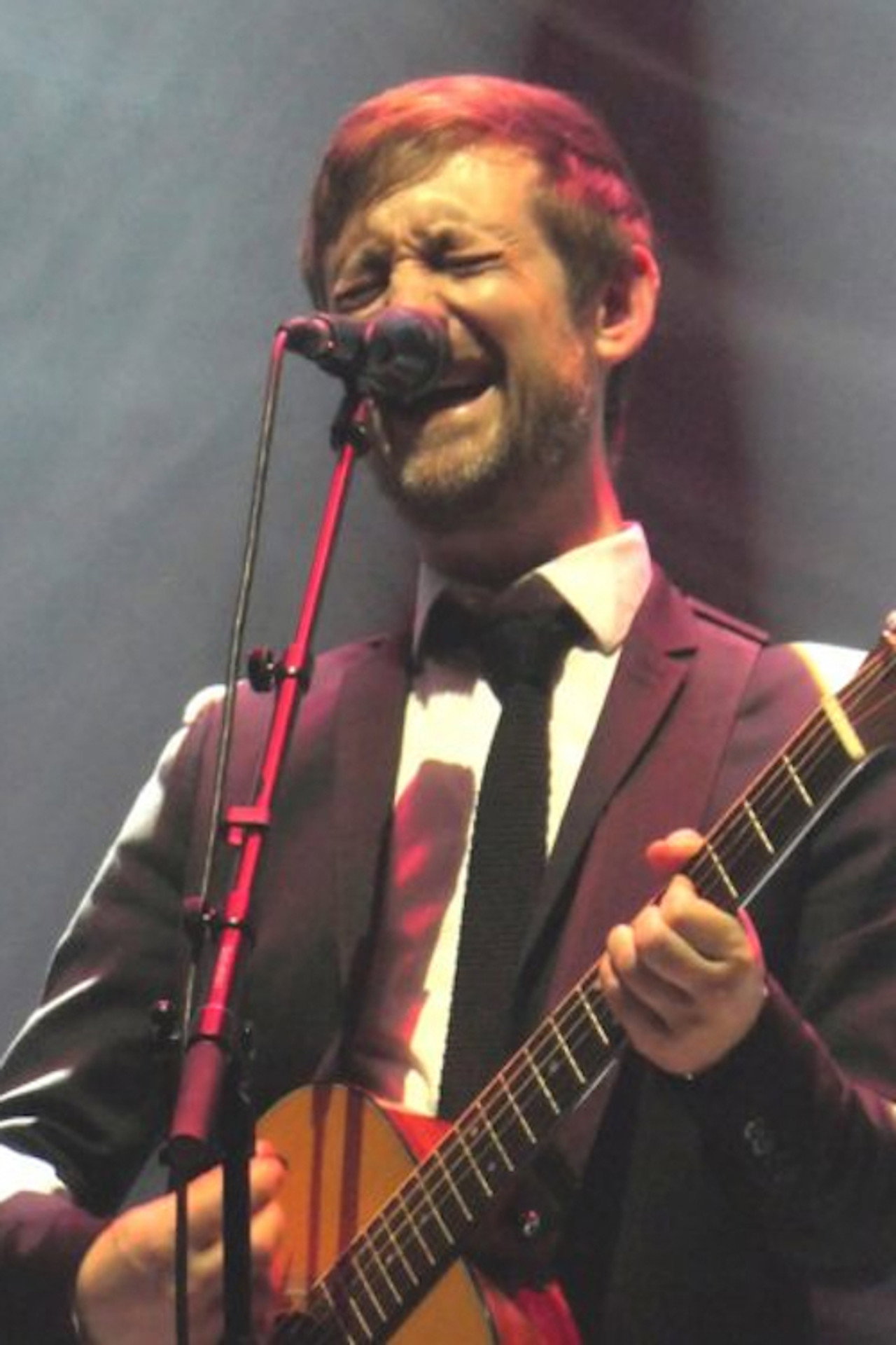 The Divine Comedy - Arte Concert filmaffisch