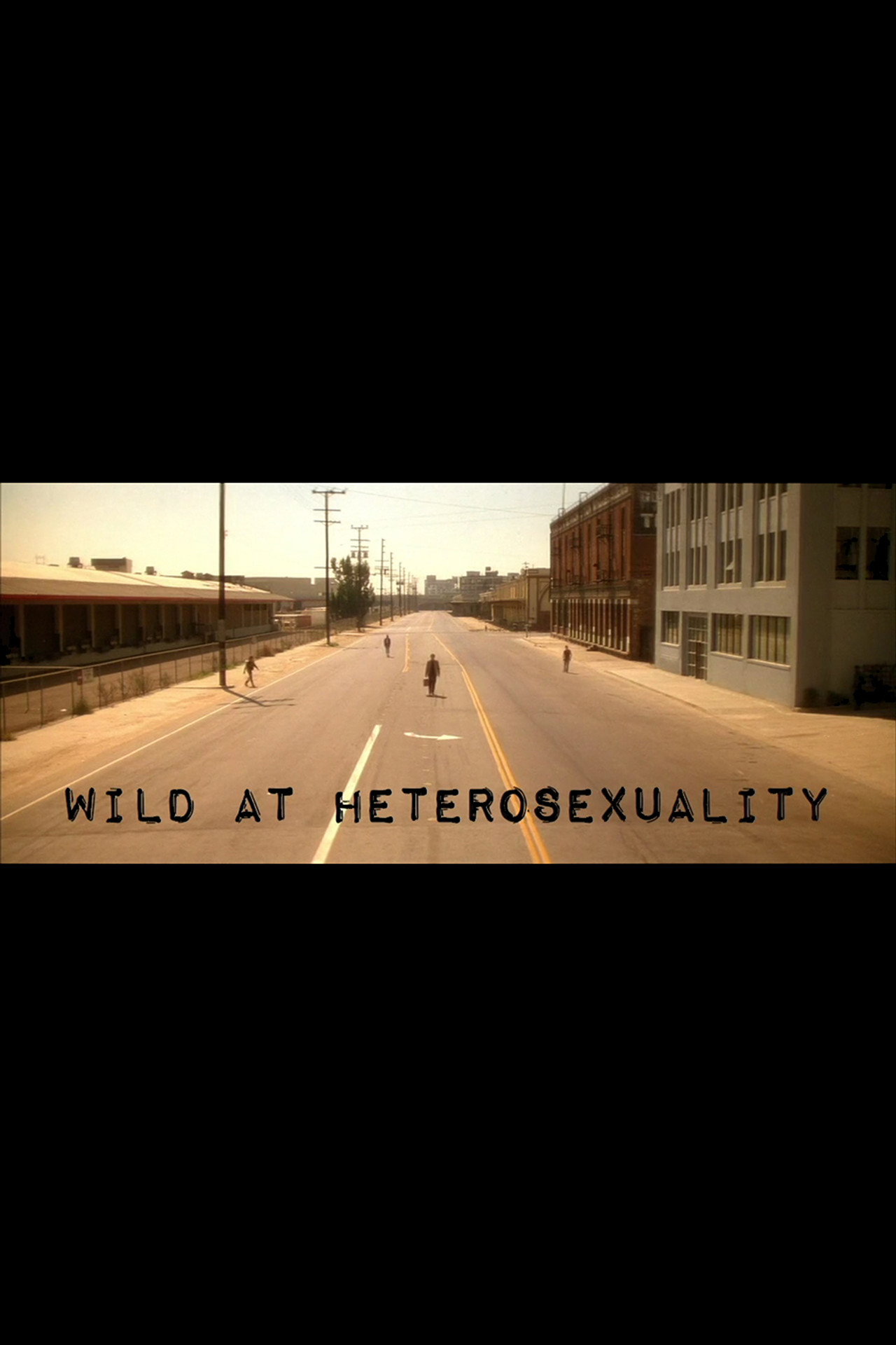 Wild at Heterosexuality filmaffisch