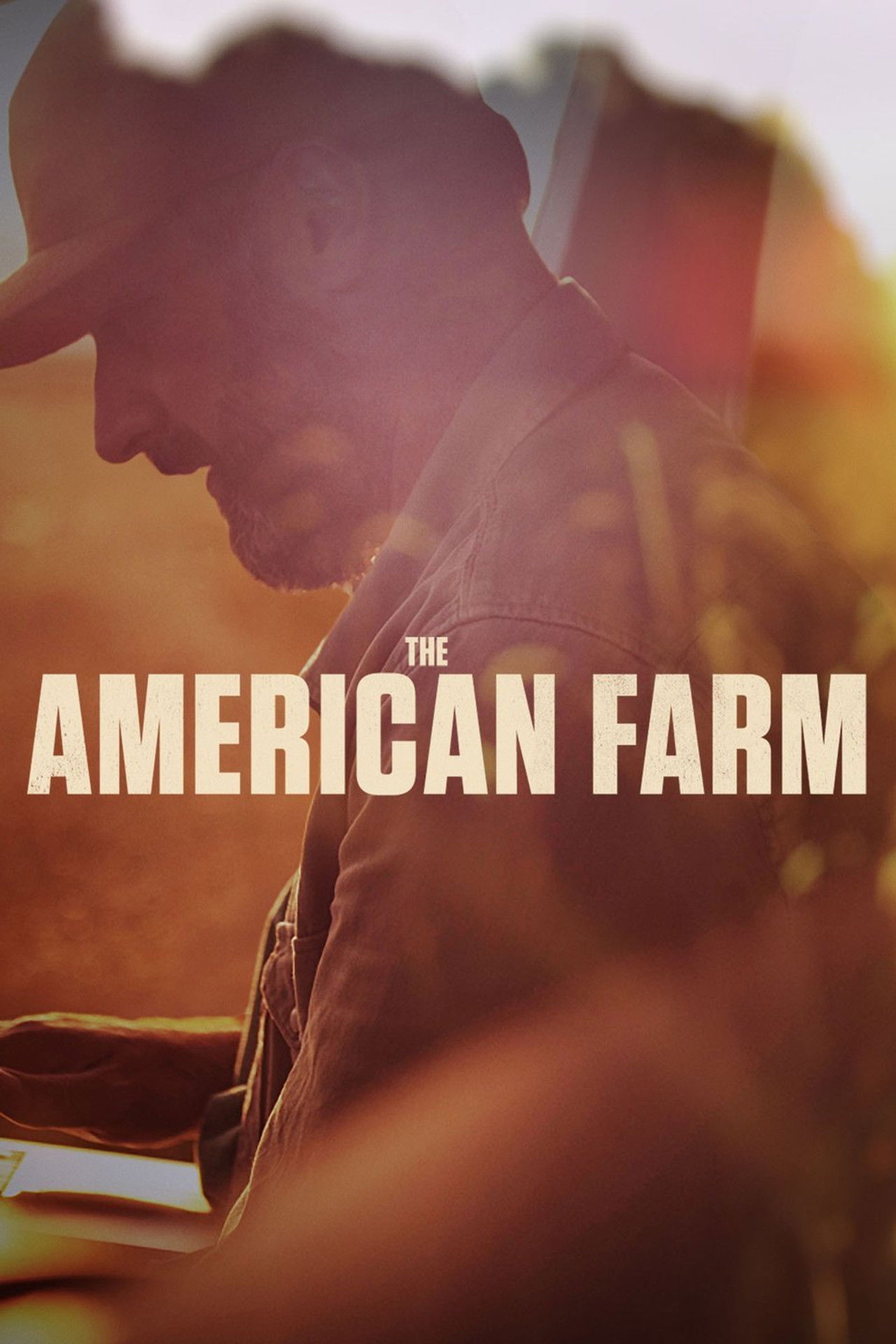 Poster The American Farm