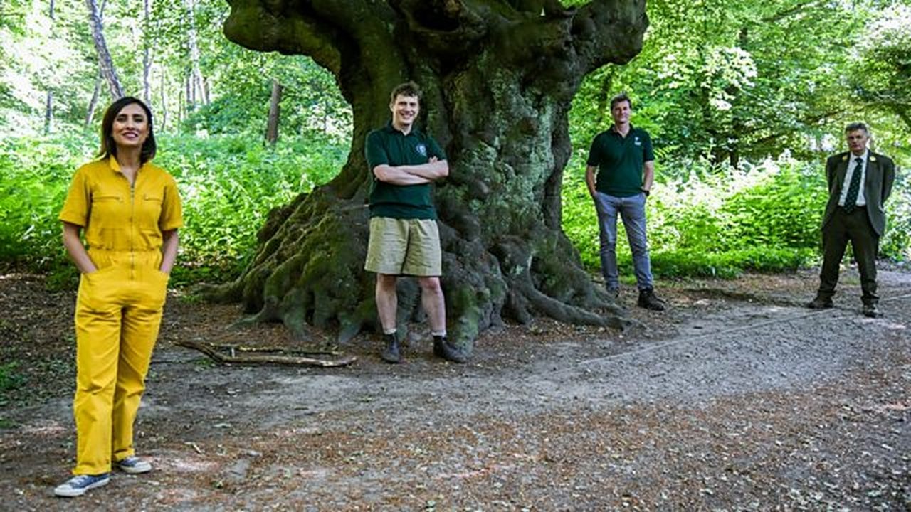 Epping Forest