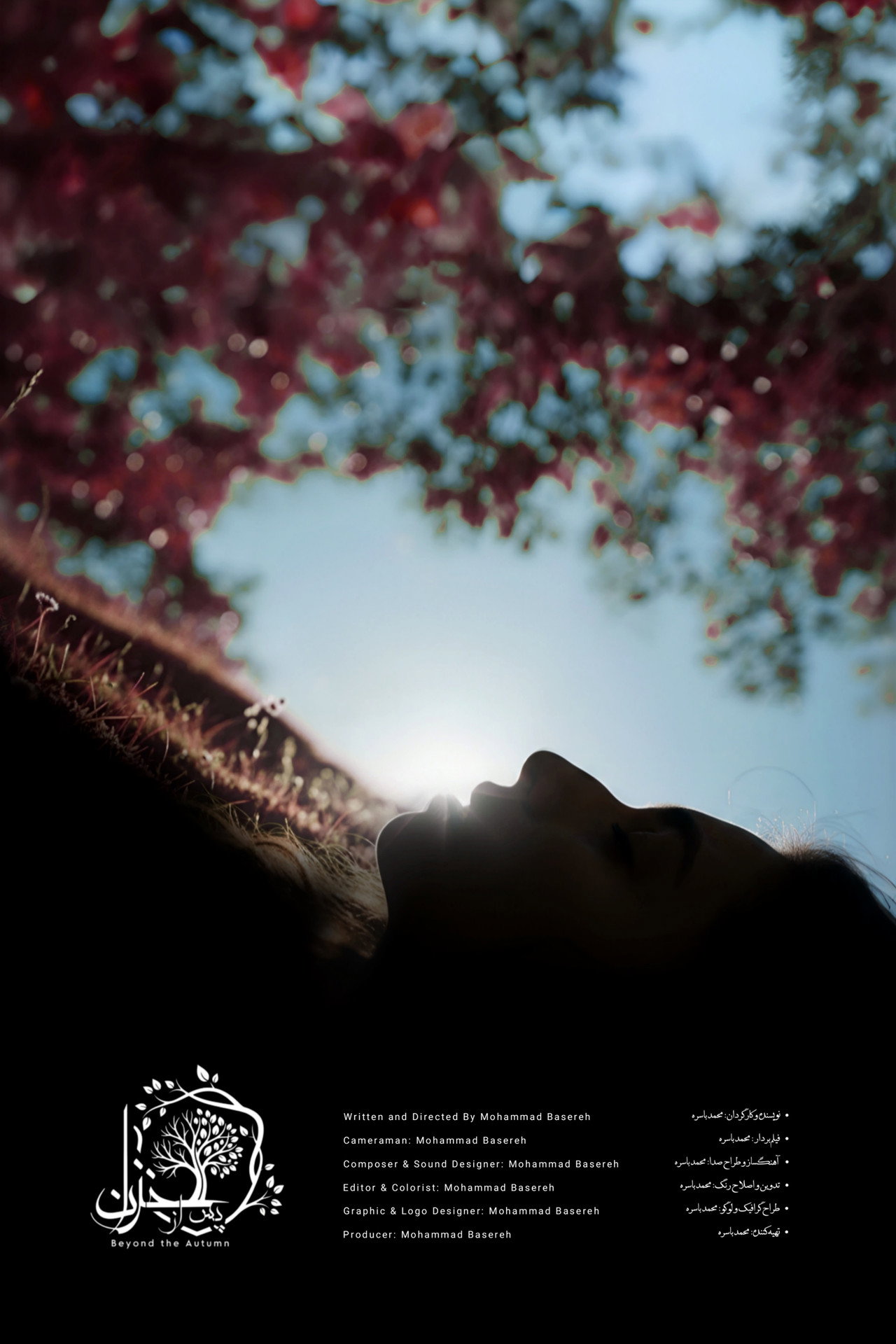 Beyond The Autumn poster