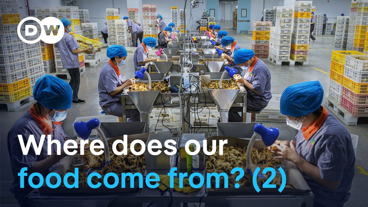 DW Documentary — Épisode 126