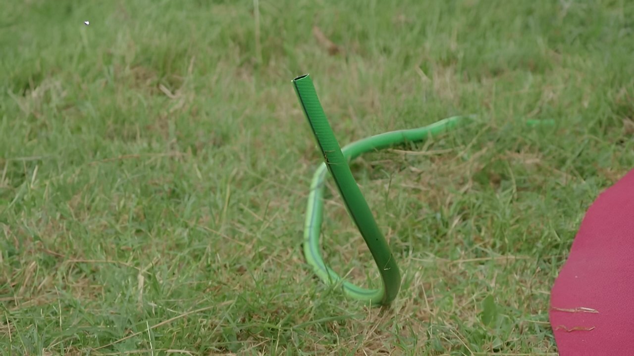 Taskmaster Portugal - Season 5 Episode 7 : Episode 7