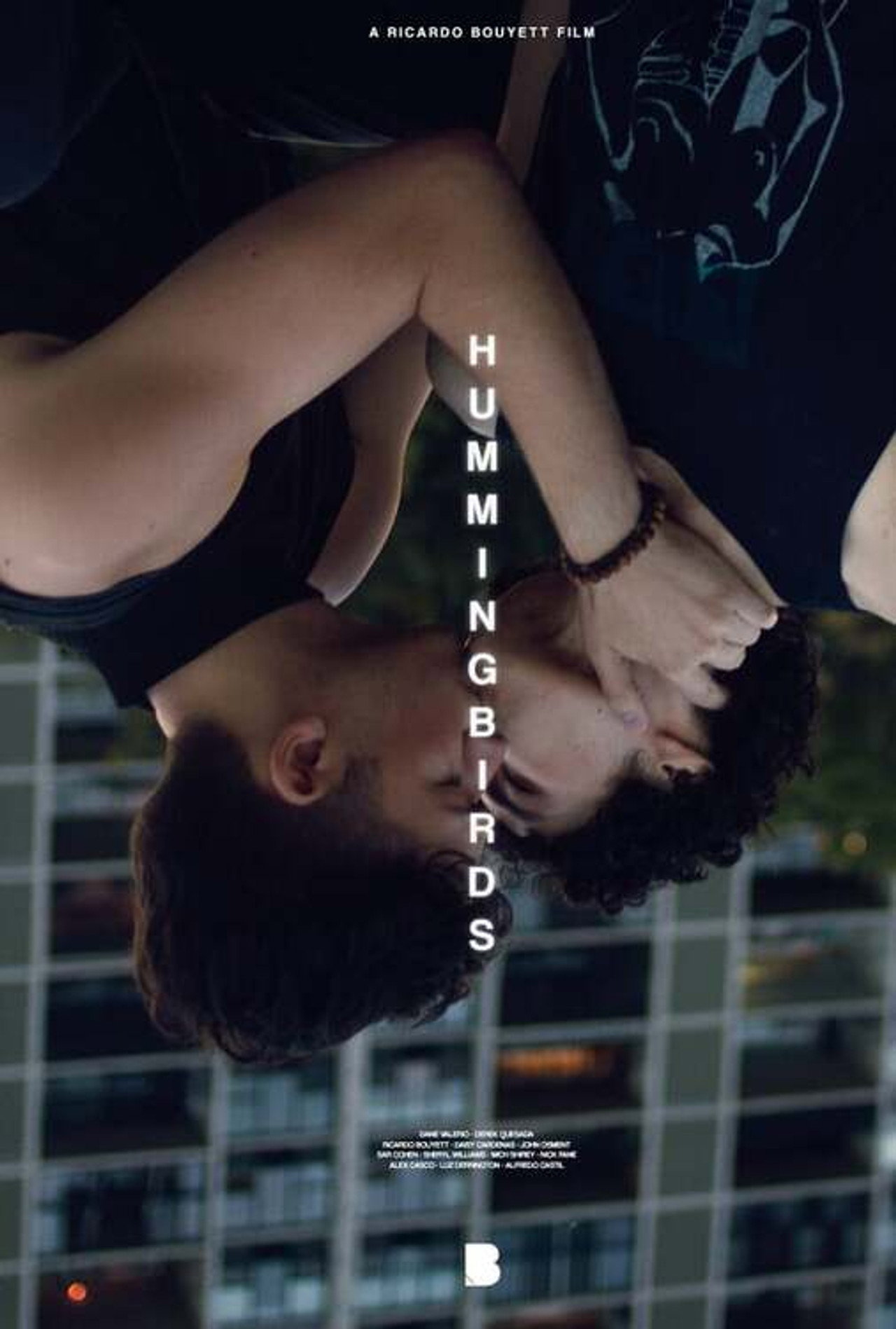 Hummingbirds filmaffisch