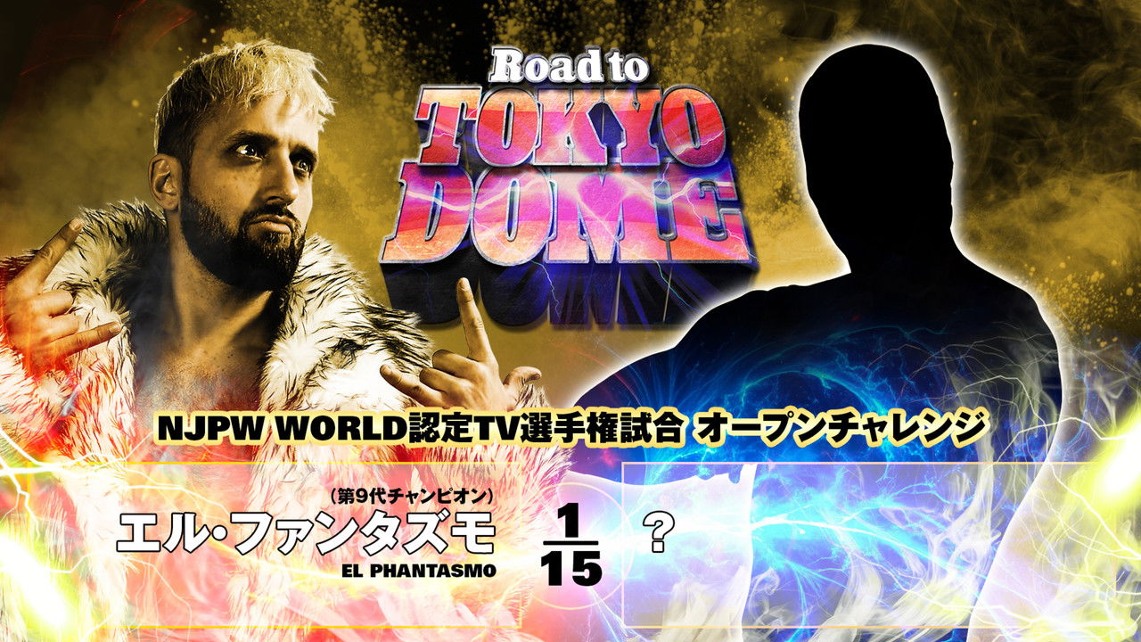 NJPW Road to Tokyo Dome 2025 - Day 3 backdrop
