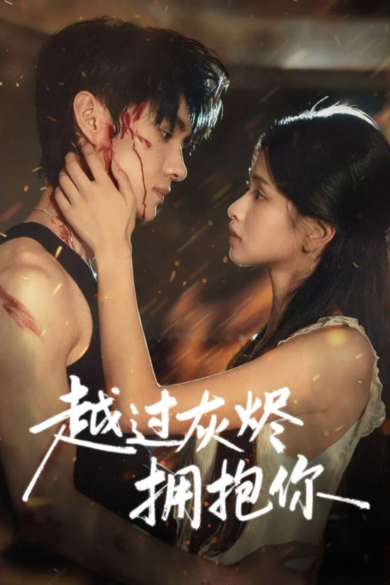 越过灰烬拥抱你 affisch
