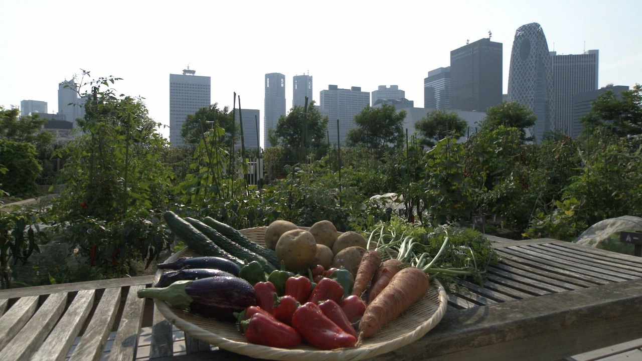 新日本風土記 — Épisode 13