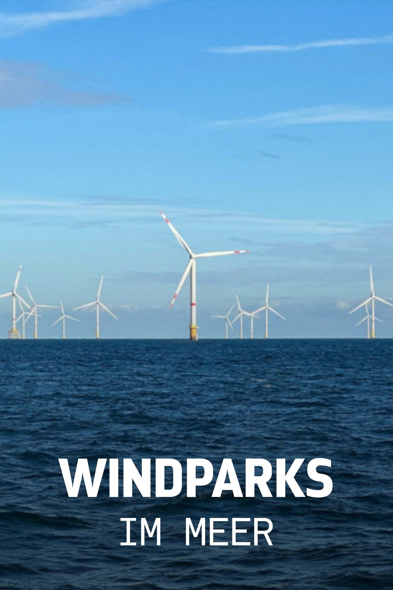 Windparks im Meer - Chance oder Risiko für die Natur? filmaffisch