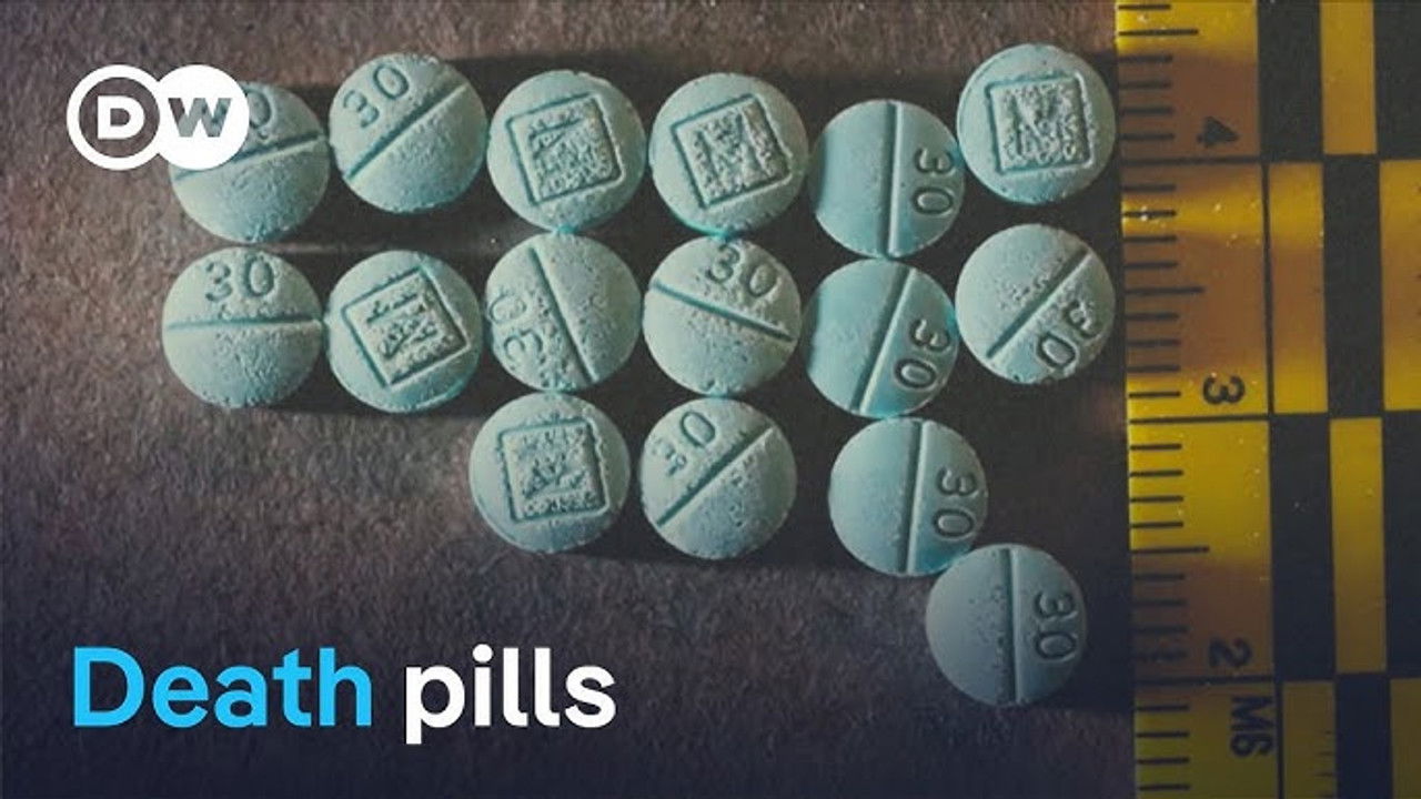 DW Documentary — Épisode 13