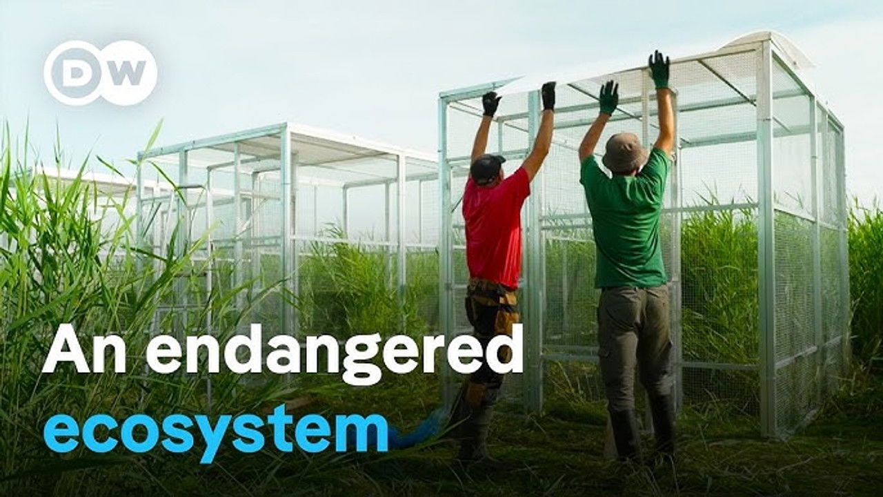 DW Documentary — Épisode 95