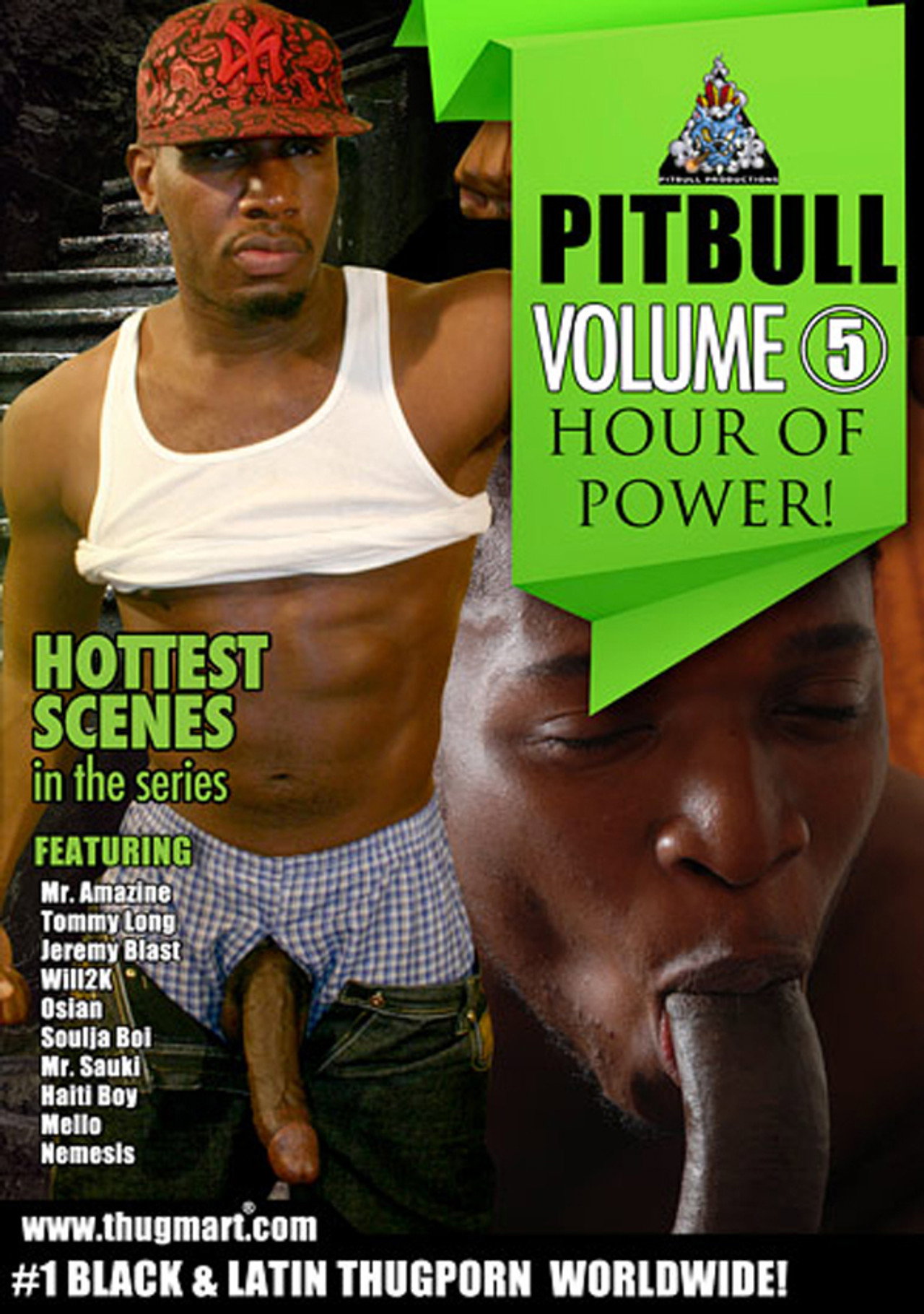 Pitbull 5: Hour Of Power filmaffisch