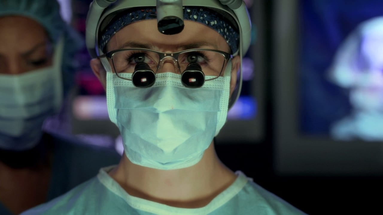 Grey's Anatomy - Season 11 Episode 14 : The Distance