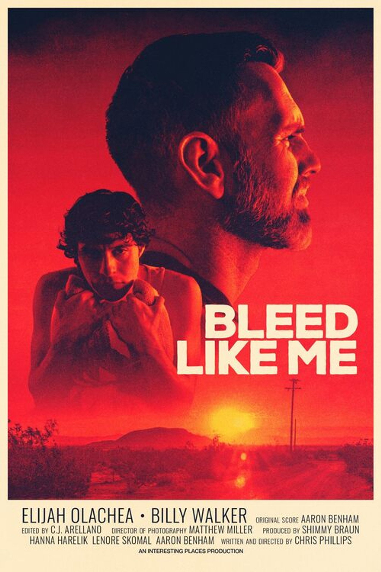 Bleed Like Me filmaffisch