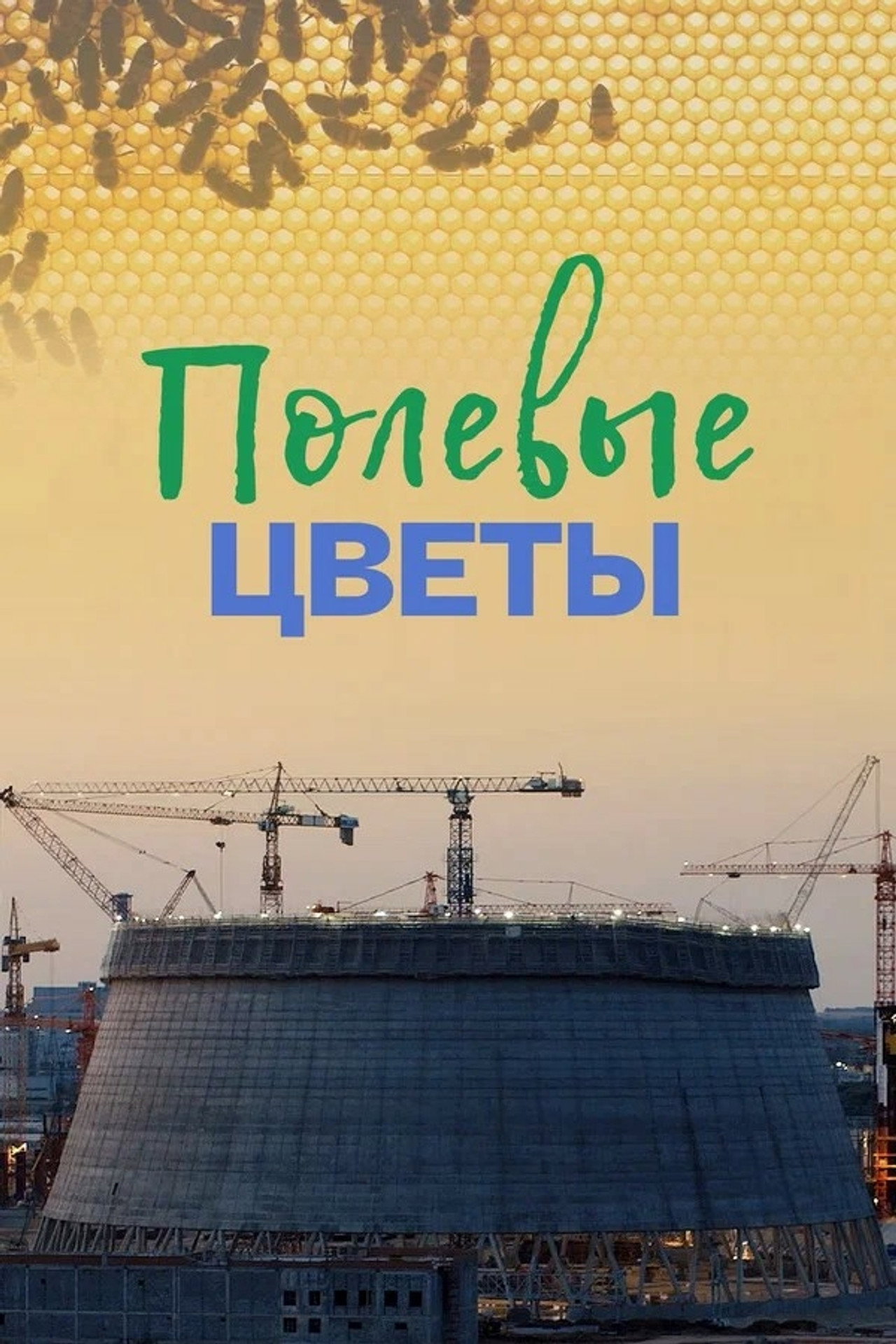 Полевые цветы filmaffisch