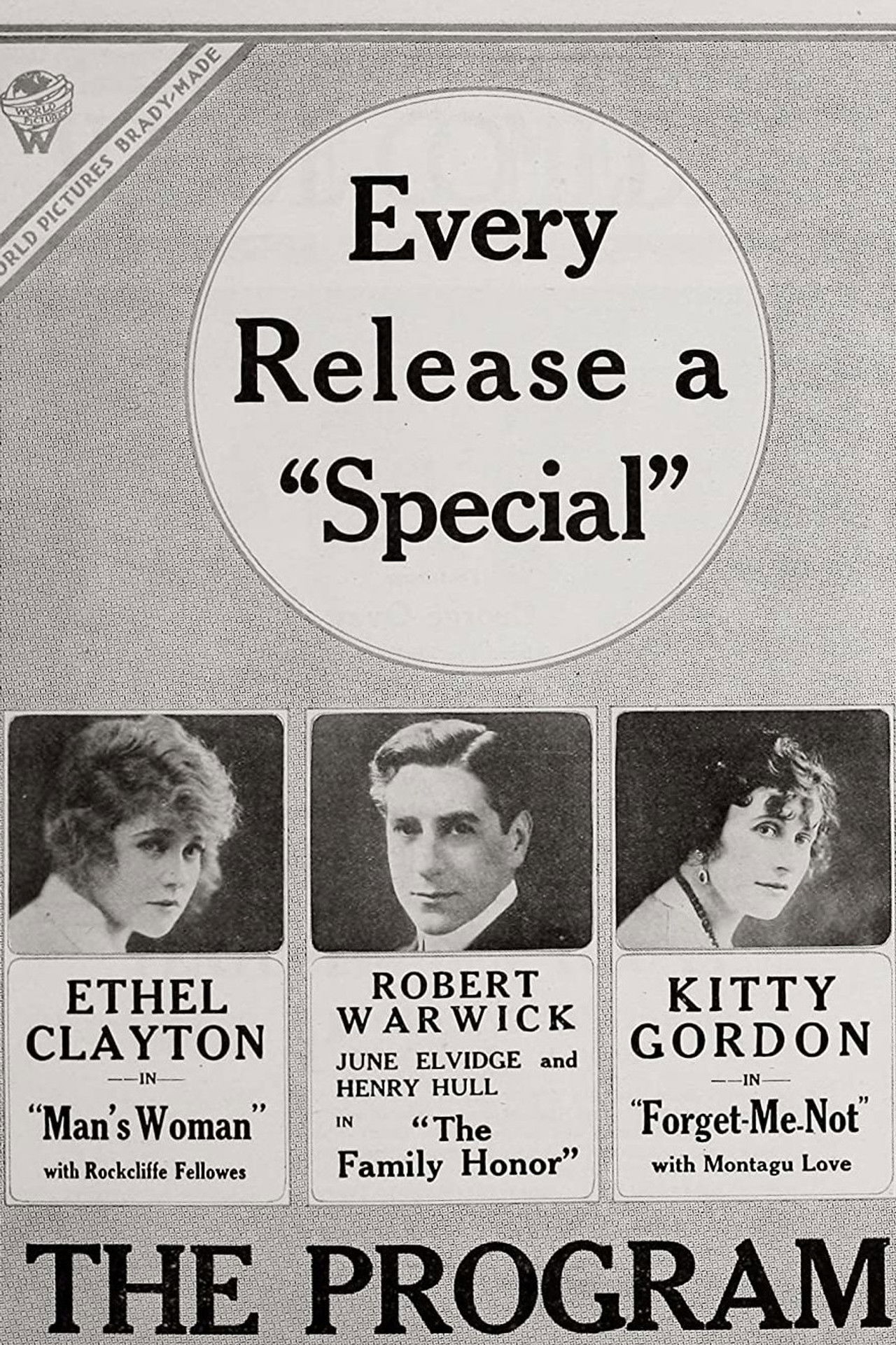 Forget-Me-Not Backdrop