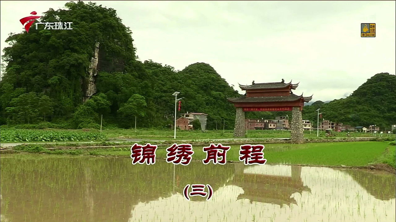 外来媳妇本地郎 — Épisode 3431