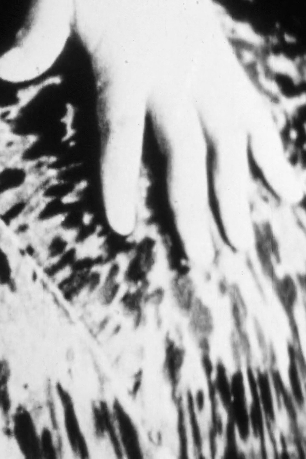Manifest Destiny filmaffisch