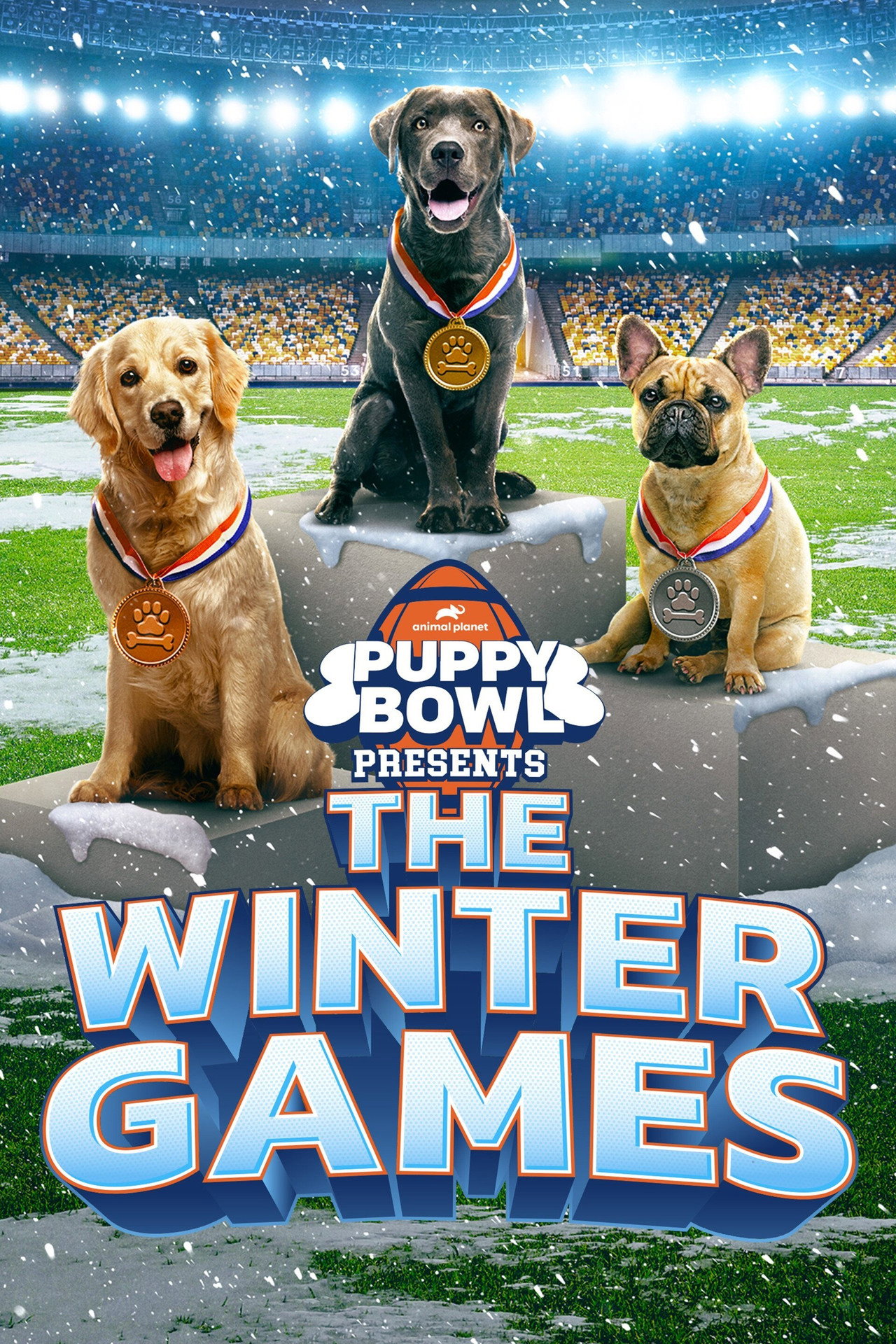 Puppy Bowl Presents: The Winter Games filmaffisch