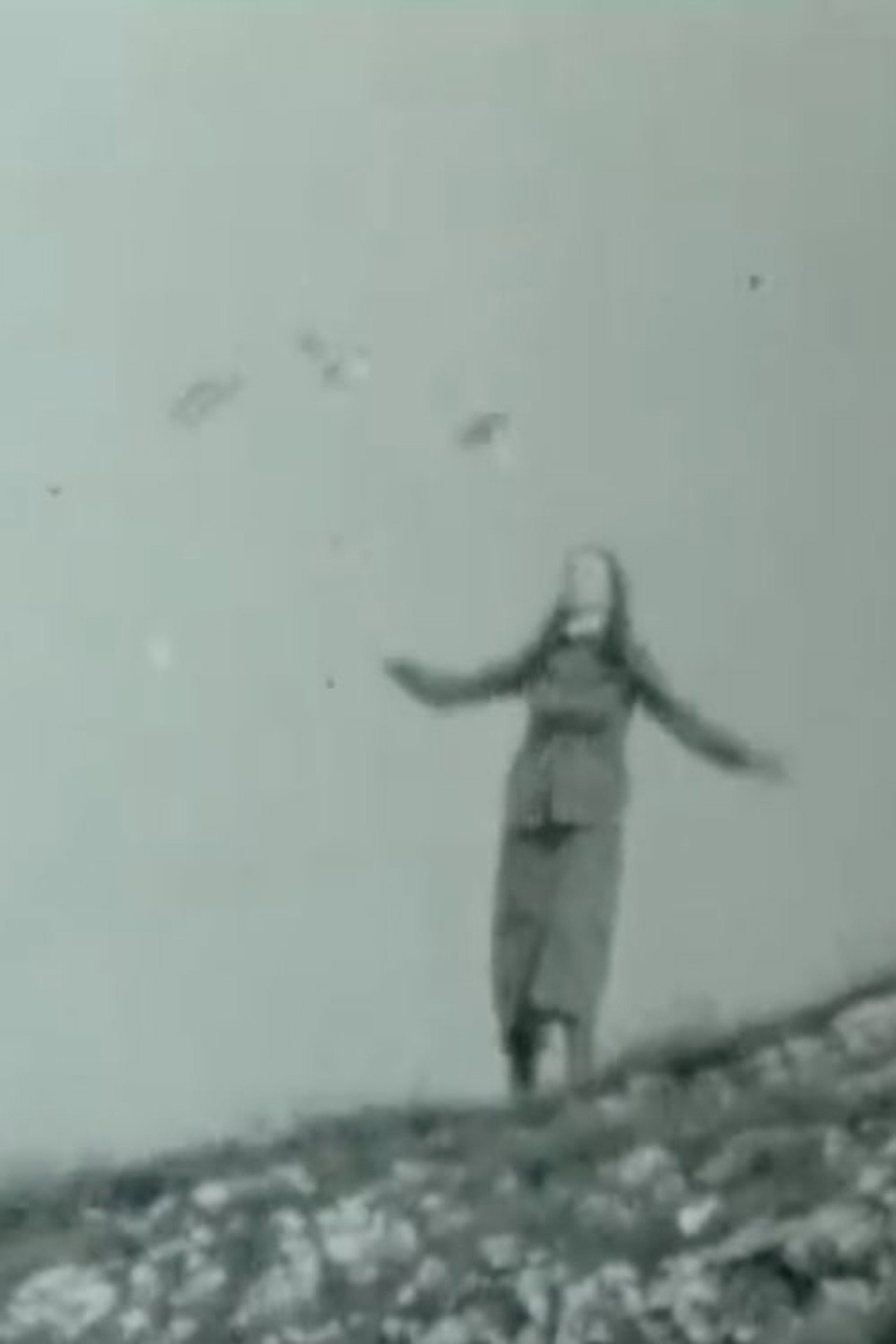 Active Poetry filmaffisch