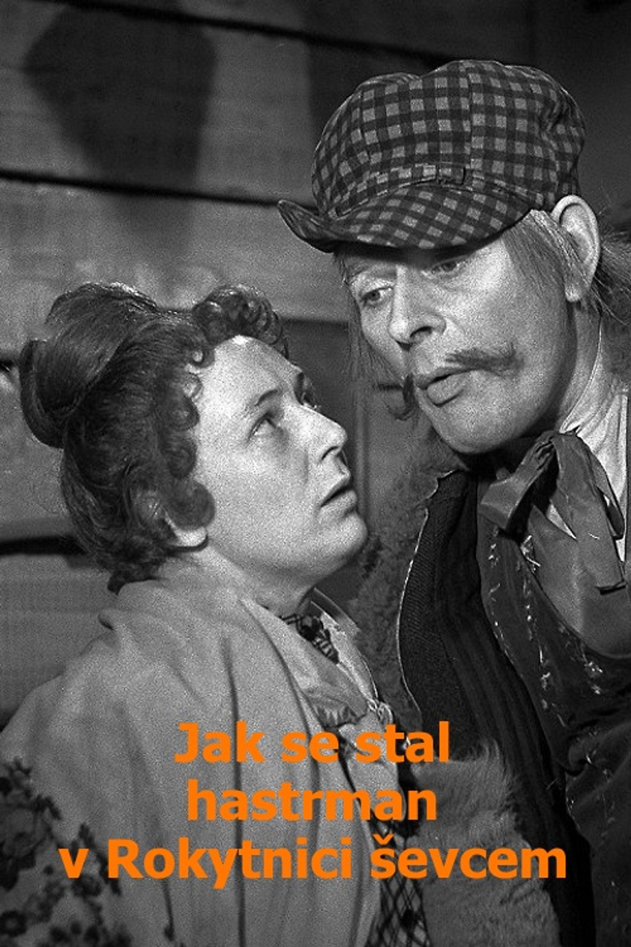 Jak se stal hastrman v Rokytnici ševcem filmaffisch