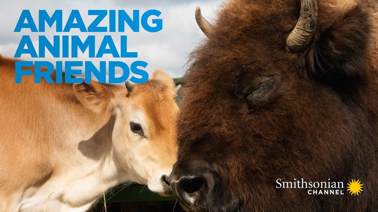 Amazing Animal Friends background