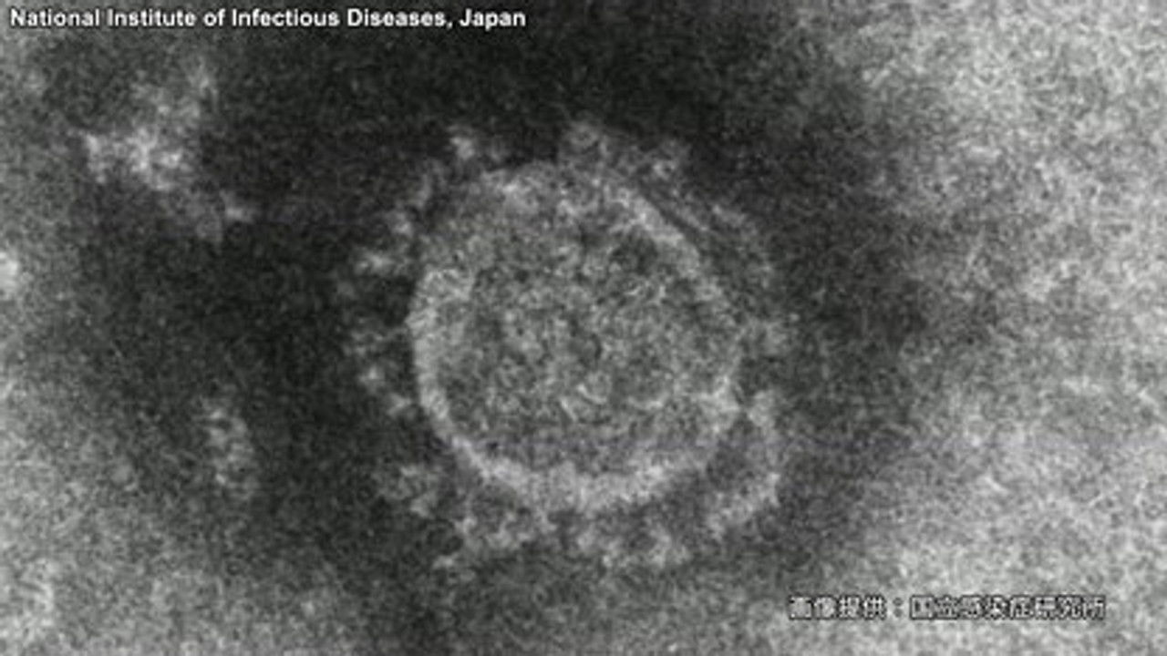 NHK Documentary — Épisode 6