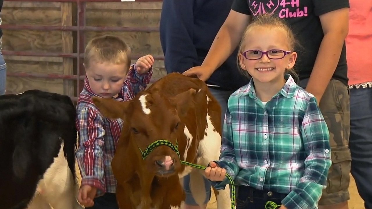 The Incredible Dr. Pol - Season 12 Episode 12 : Moovin' On Up