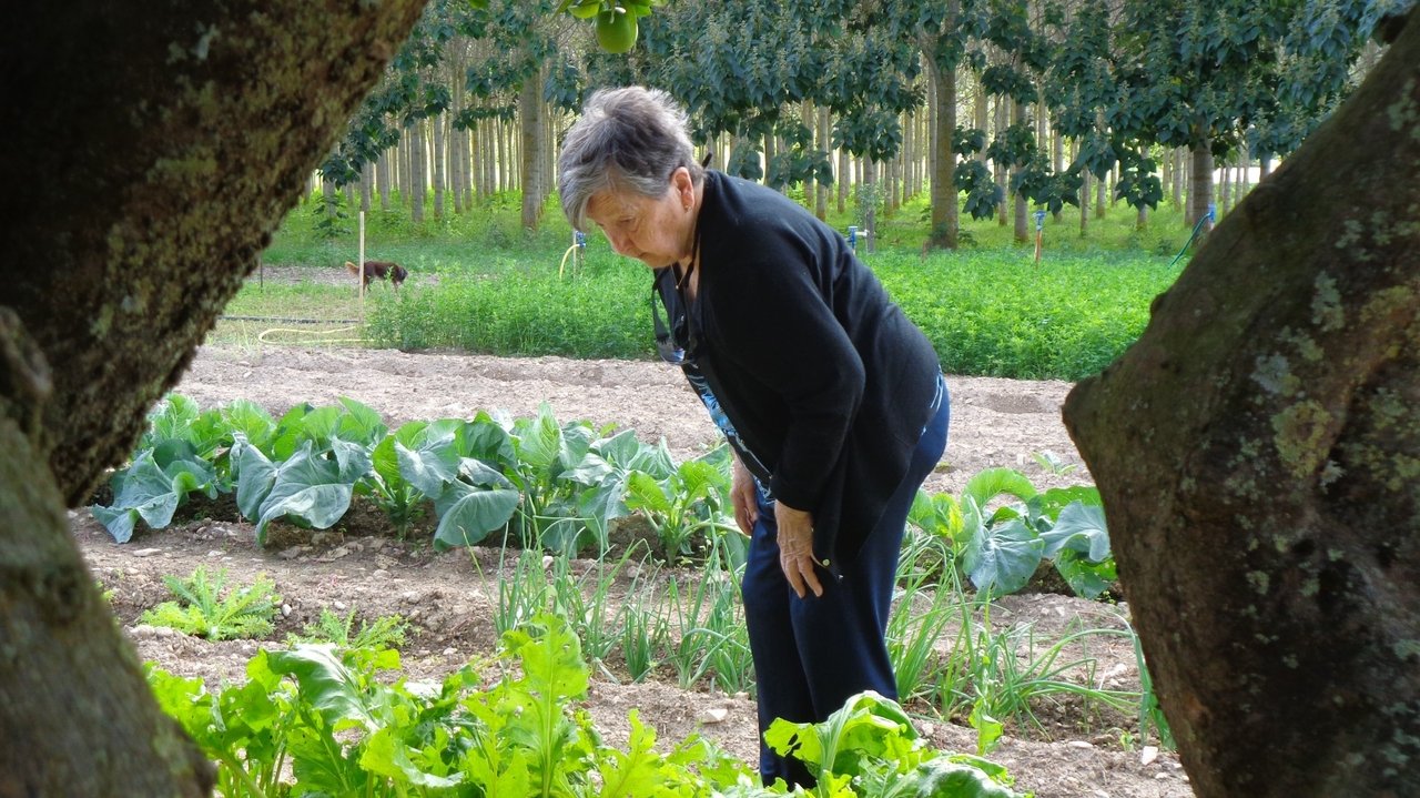 De tros en tros (2025)
