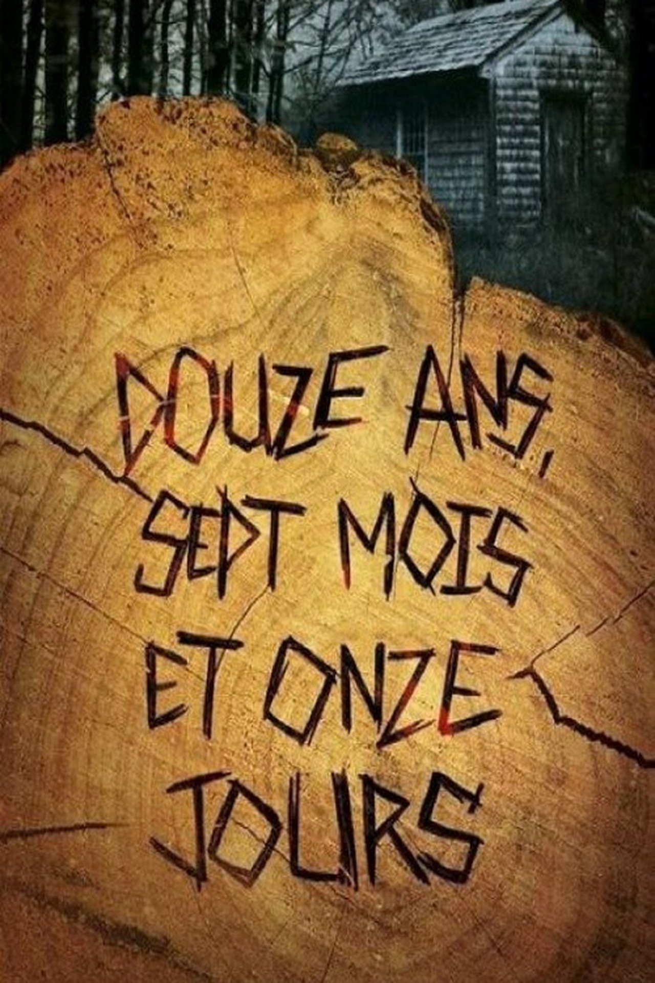 Douze ans, sept mois et onze jours poster