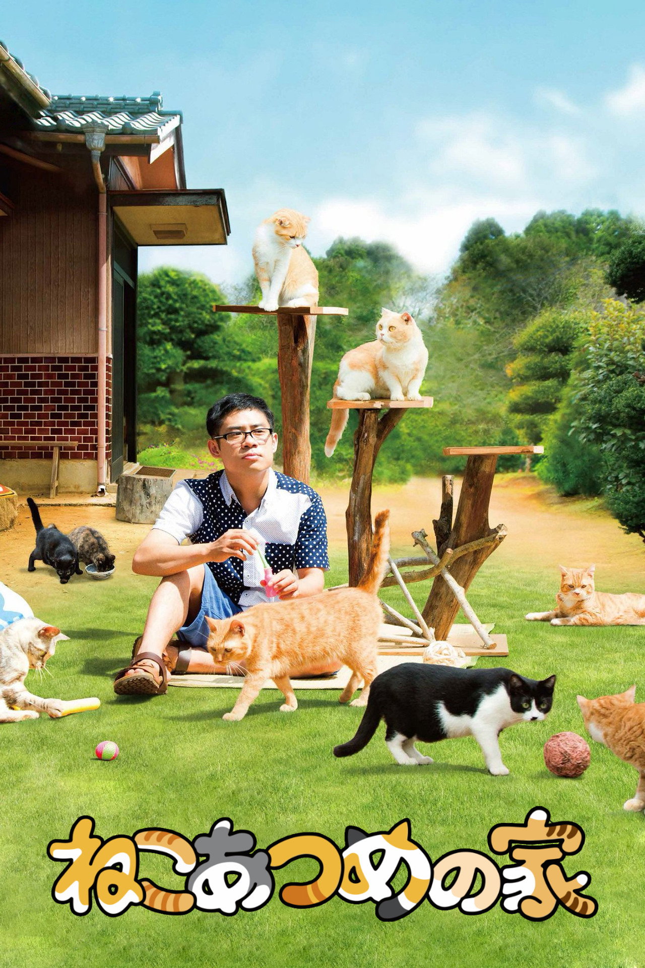 ねこあつめの家 filmaffisch