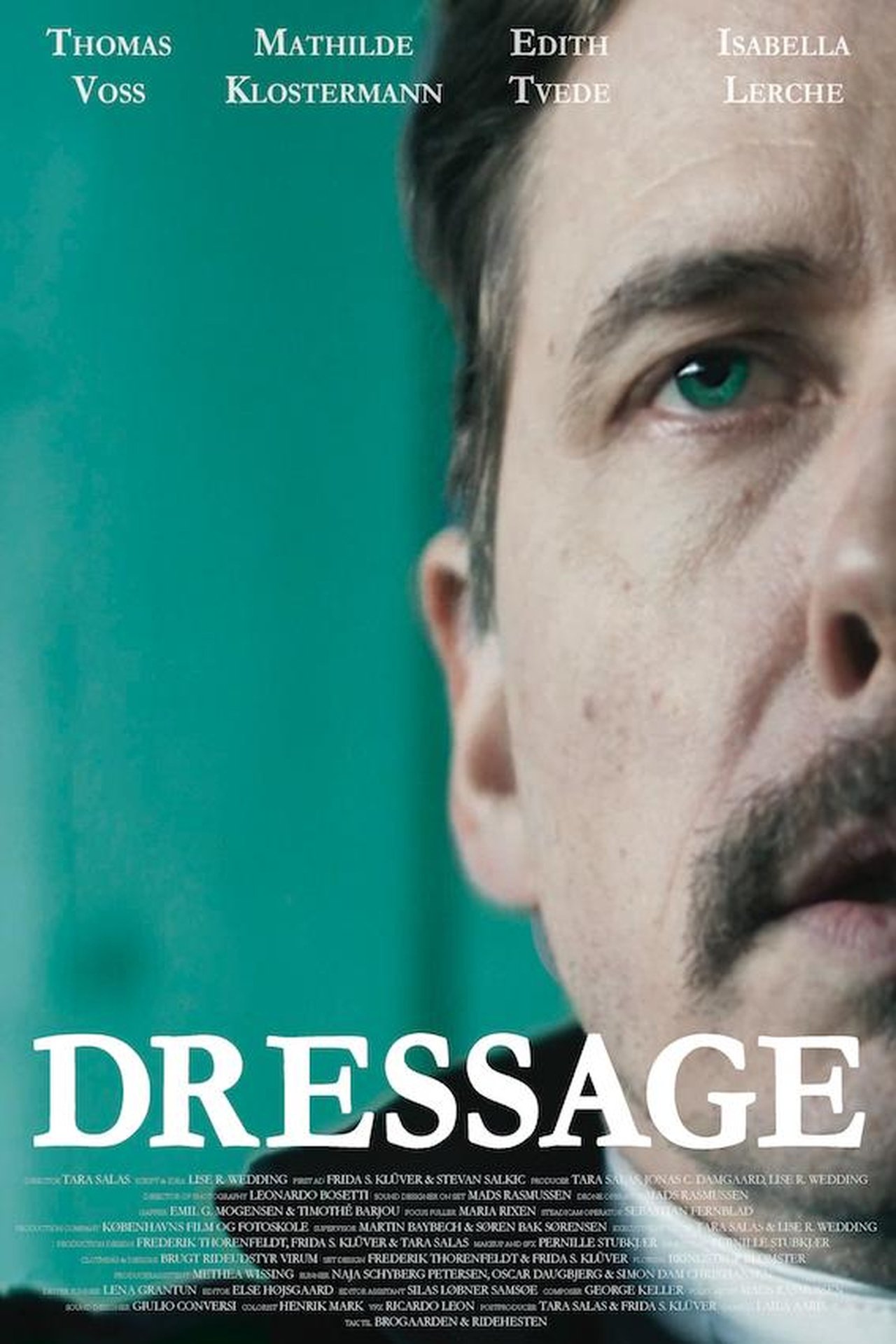 Dressage poster