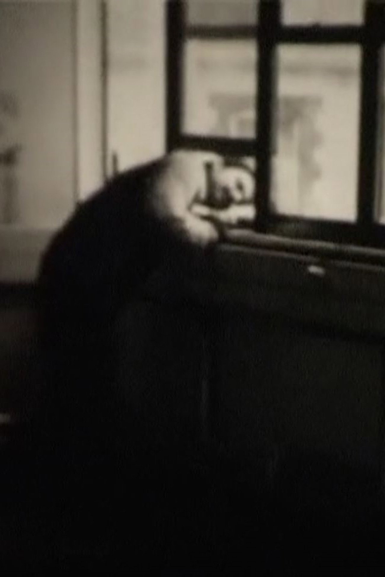 The Last Films of Humphrey Esterhase filmaffisch