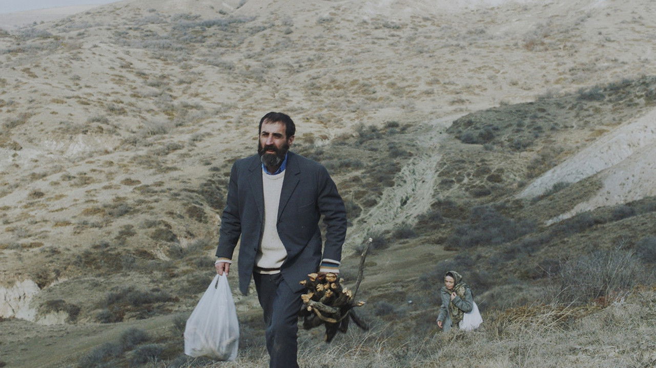 Tərsinə Kölgələr