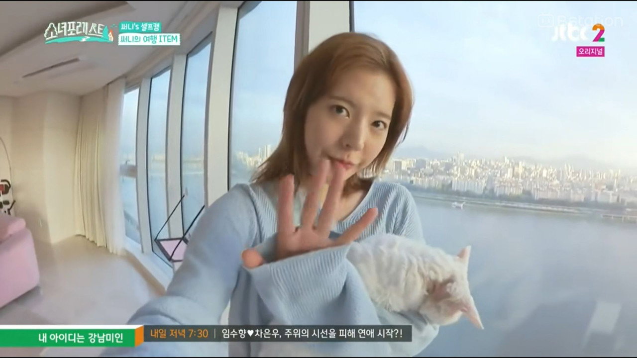 소녀포레스트 backdrop
