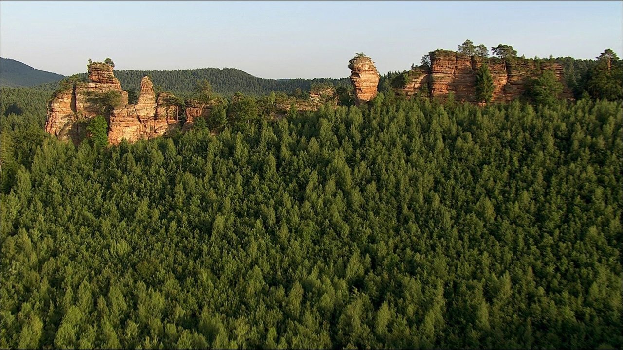 The Palatinate Forest